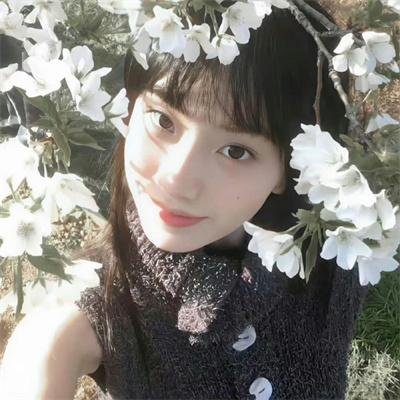 美月琪花